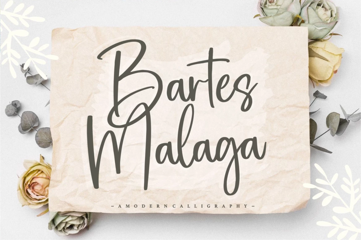 Bartes Malaga Regular Krój pisma