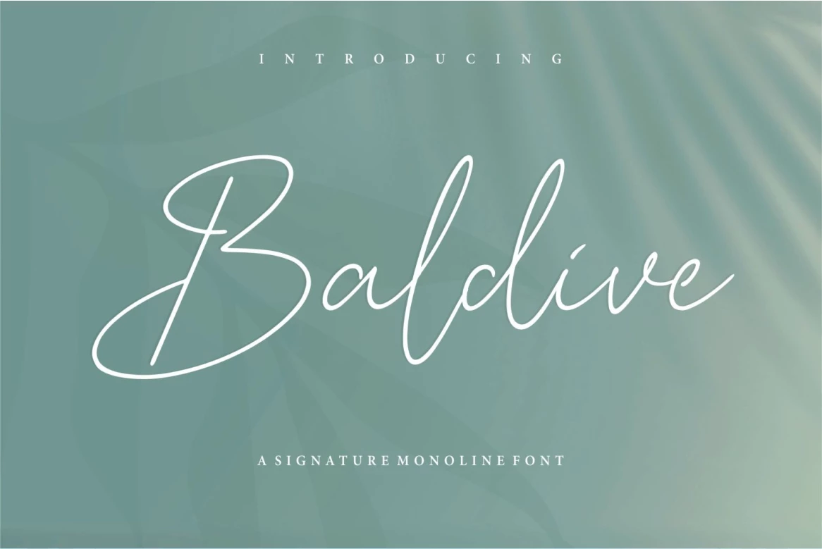Baldive Regular Caratteri tipografici
