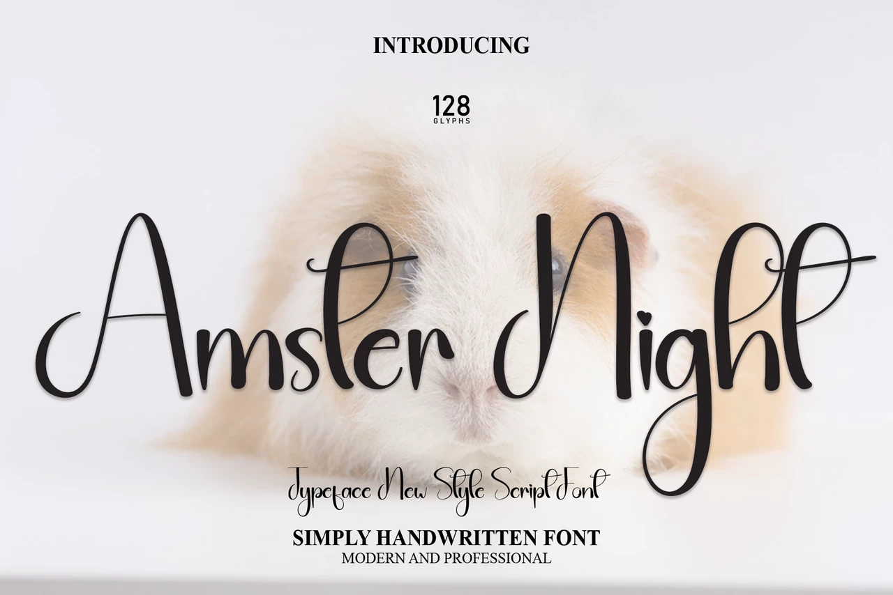 Amster Night Regular Caratteri tipografici