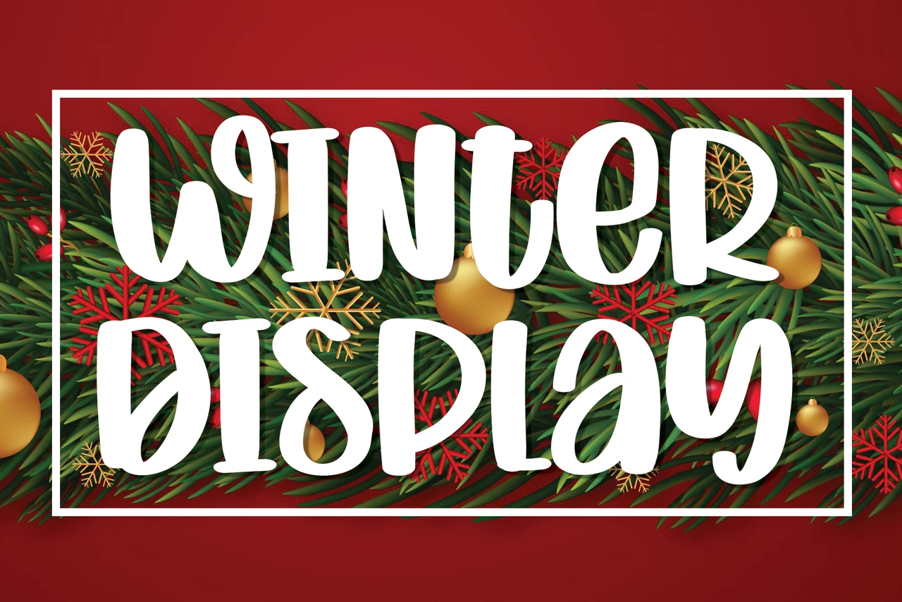 Winter Display Regular Lettertype