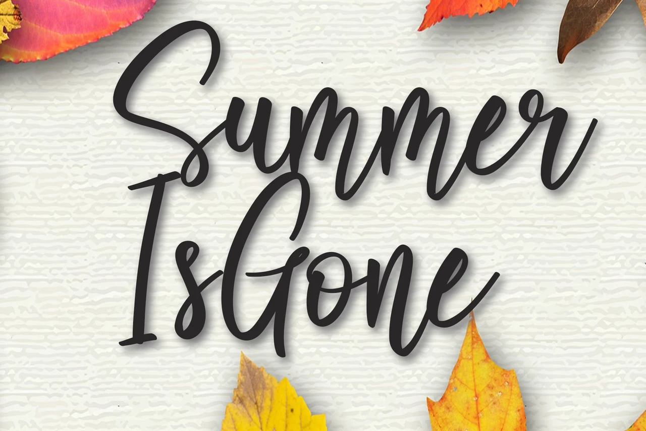 Summer Is Gone Regular Lettertype