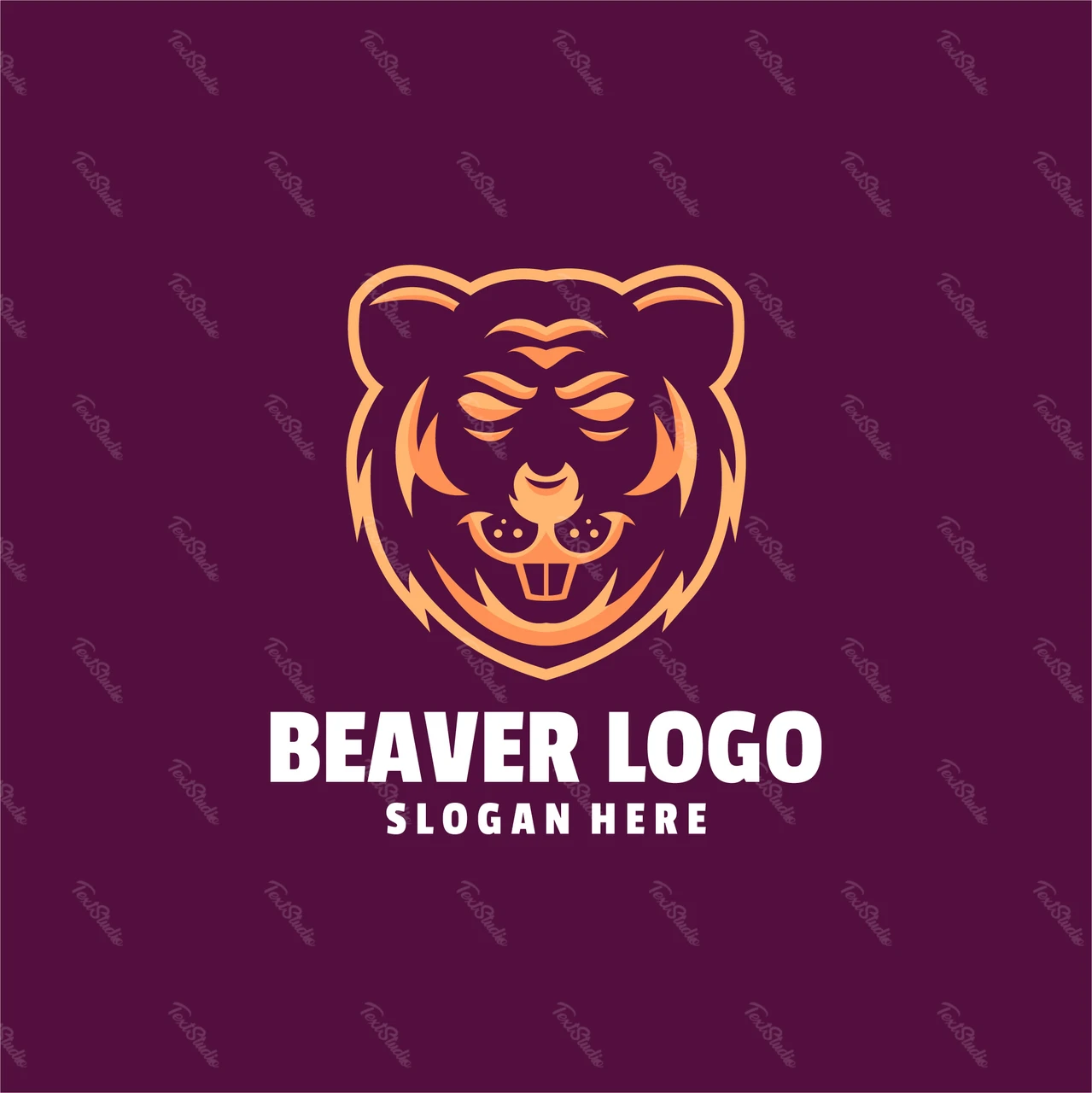 Modern Mascot Logo Design