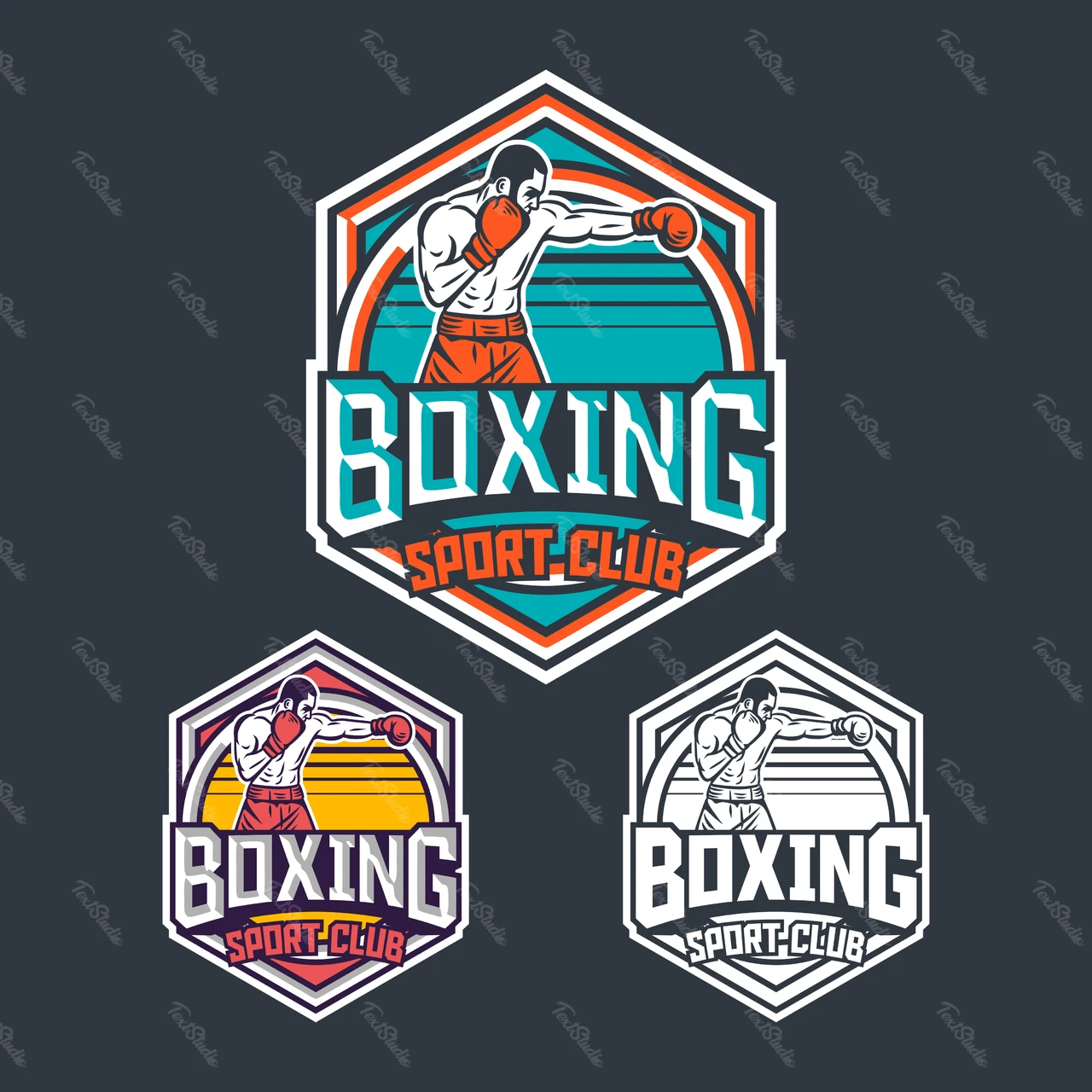 Vintage Boxing Club Badge Design