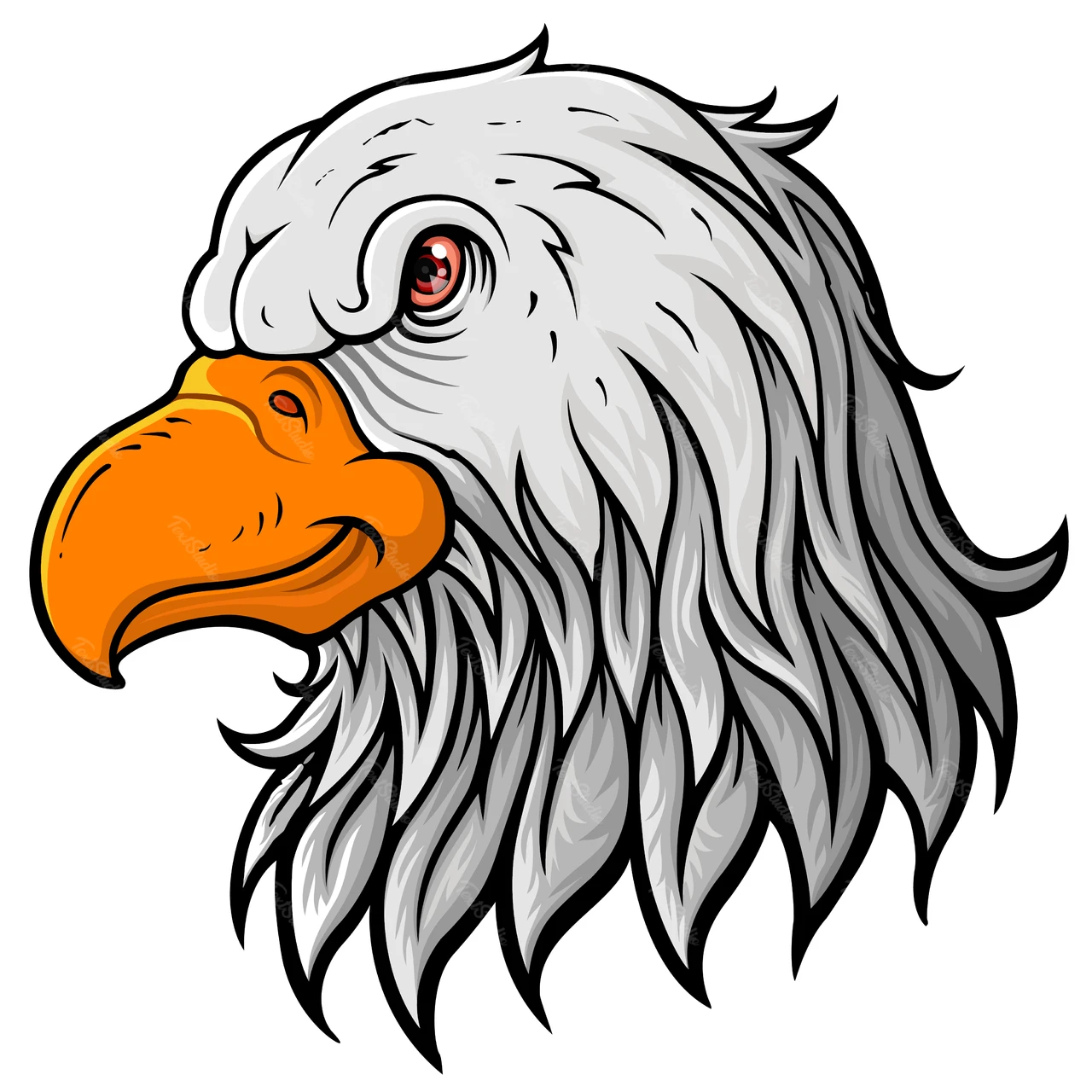 Cartoon Style Eagle Head Illustration