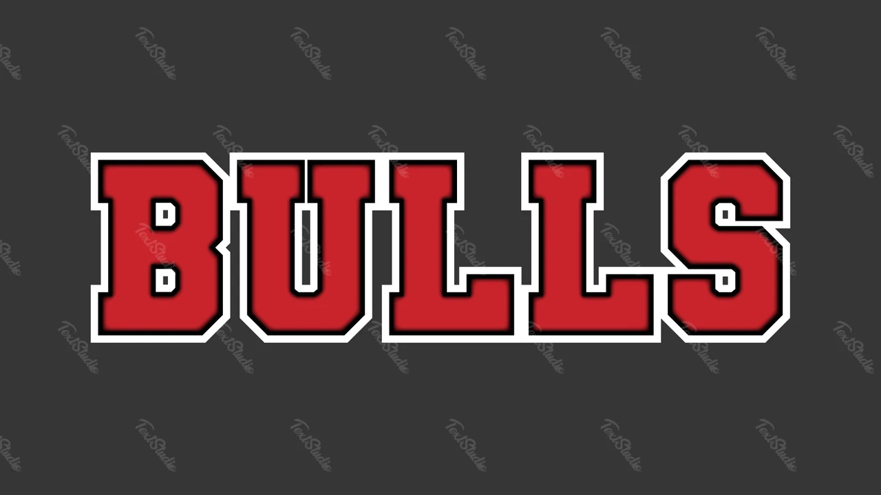 Logotipo de los Chicago Bulls