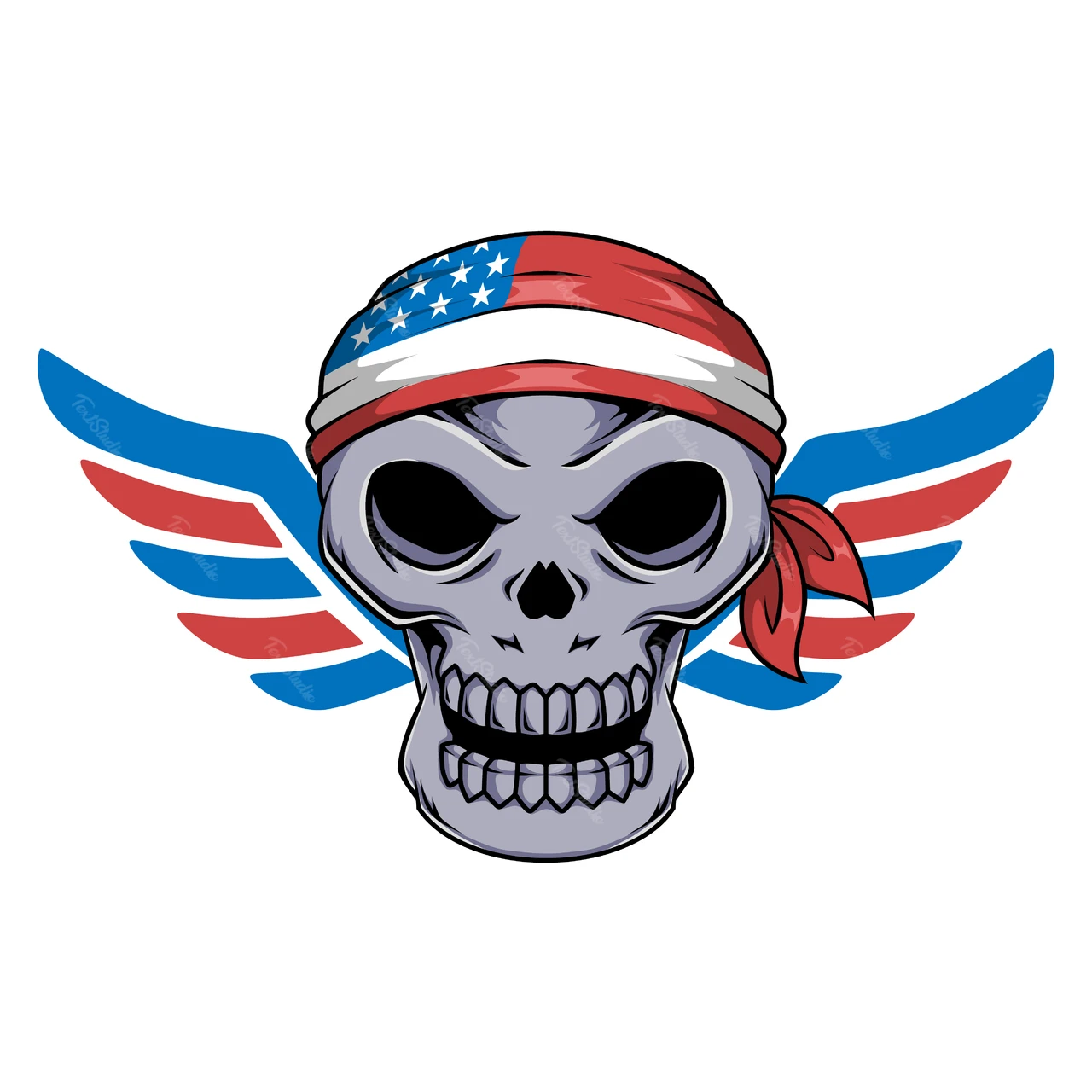 羽のついたビンテージアメリカンスカル