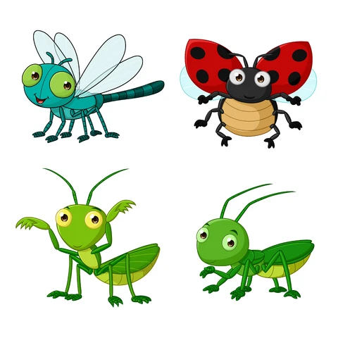 EPS,JPG Ilustrações de insetos em estilo cartoon