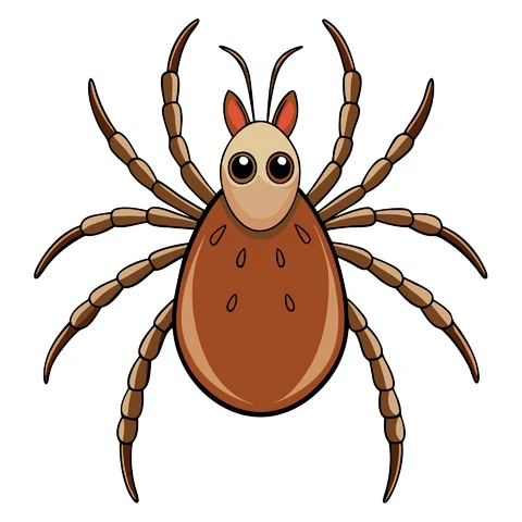 AI,JPG Cartoon Style Spider Illustration