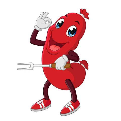 EPS,JPG Cartoon Kidney Bean Character Illustration
