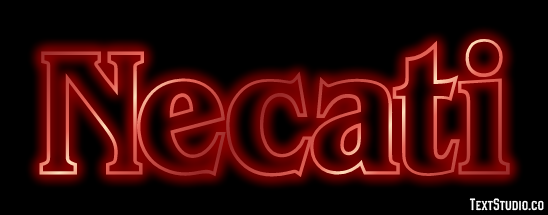 Necati Metin efekti