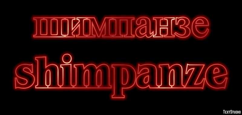 шимпанзе shimpanze Текстовый эффект