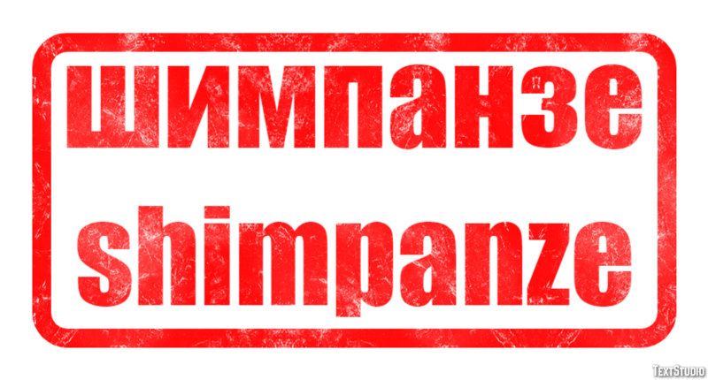 шимпанзе shimpanze Текстовый эффект