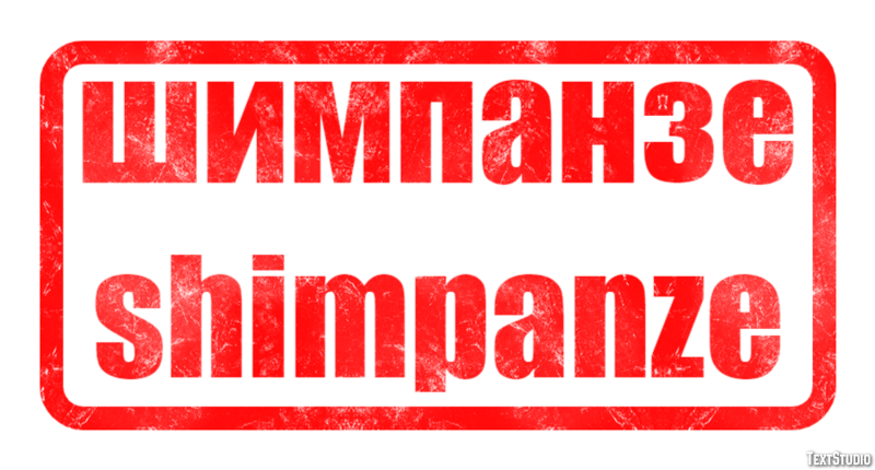 шимпанзе shimpanze Эффект текста