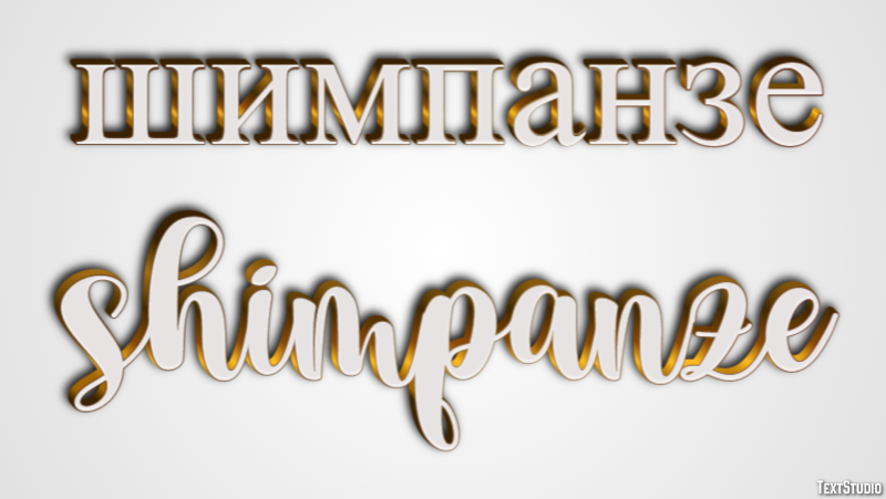 шимпанзе shimpanze Эффект текста