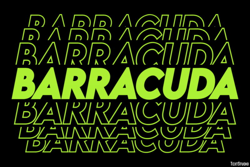 Barracuda Efecto de Texto
