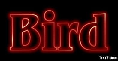 Bird Text Effect