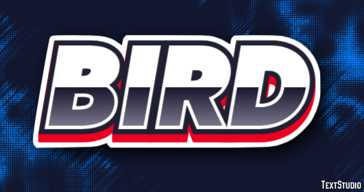 Bird Metin Efekti