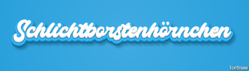 Schlichtborstenhörnchen Texteffekt