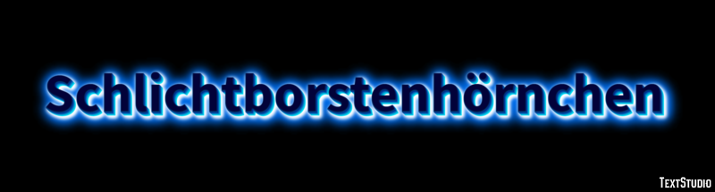 Schlichtborstenhörnchen Texteffekt