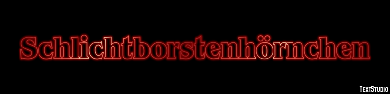 Schlichtborstenhörnchen Texteffekt