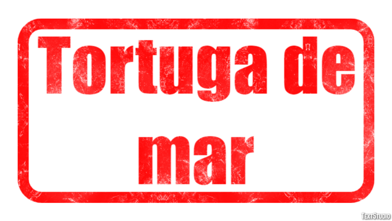 Tortuga de mar Efecto de texto