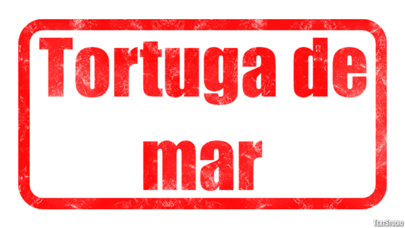 Tortuga de mar Efecto de Texto
