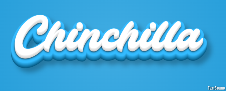 Chinchilla Effetto testo