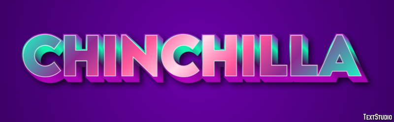 Chinchilla Effet de Texte