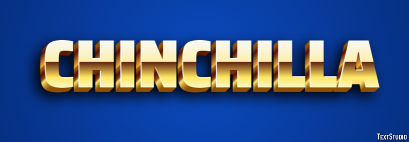 Chinchilla Effet de Texte