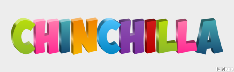 Chinchilla Effetto testo
