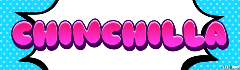 Chinchilla Effet de Texte
