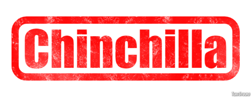 Chinchilla Effetto testo