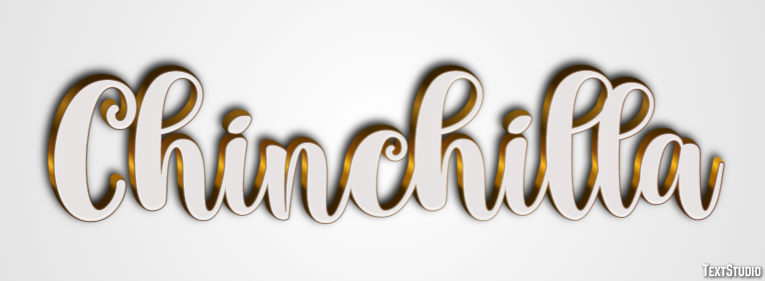 Chinchilla Effetto testo