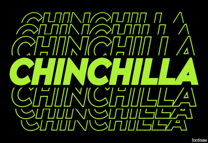 Chinchilla Effetto testo