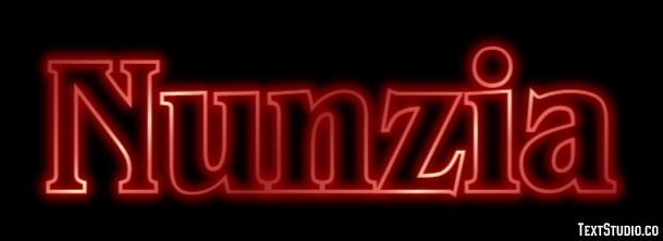 Nunzia Effetto testo