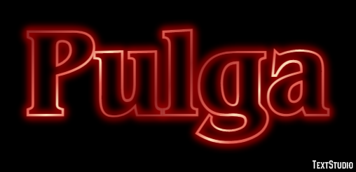 Pulga Texteffekt