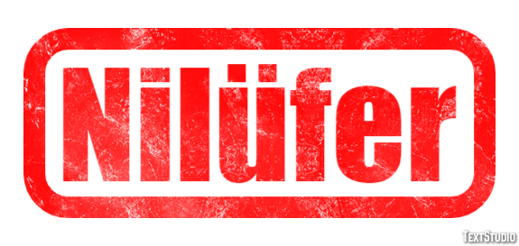 Nilüfer Metin efekti