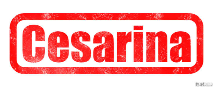 Cesarina Effetto testo