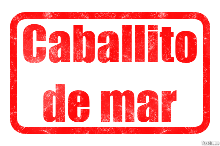 Caballito de mar Efecto de texto