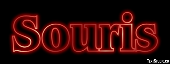 Souris Tekst effect