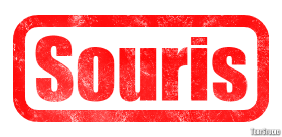 Souris Tekst effect