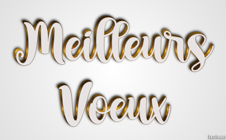 Meilleurs Voeux Text Effect