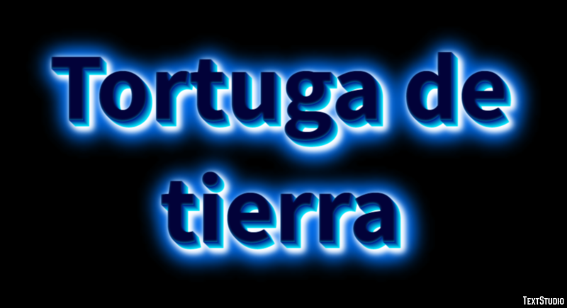 Tortuga de tierra テキスト効果