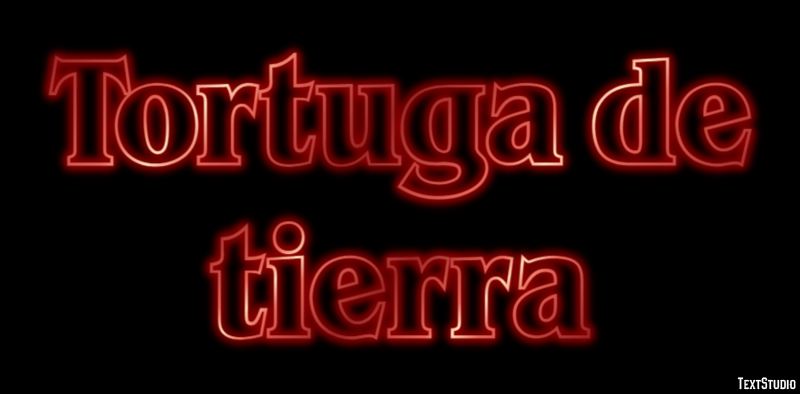 Tortuga de tierra Efecto de texto