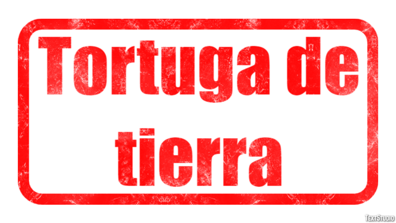 Tortuga de tierra Efecto de texto