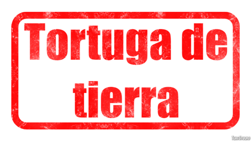 Tortuga de tierra Efecto de Texto