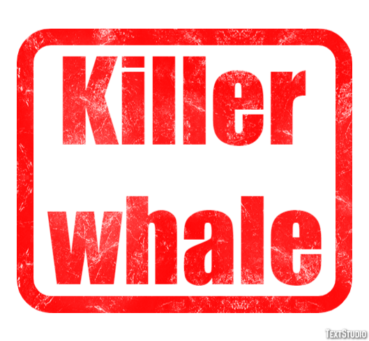Killer whale Effet de Texte