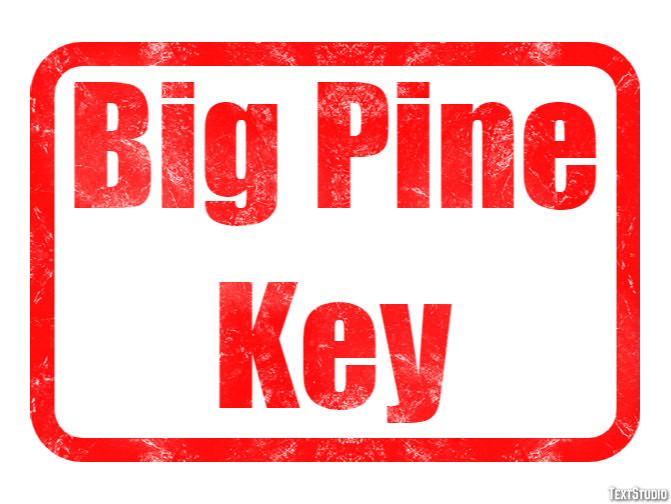 Big Pine Key Efekt tekstowy