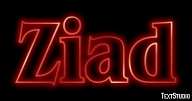 Ziad Effet de Texte