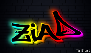 Ziad Effet de Texte